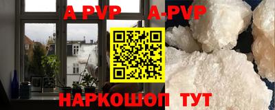 гидра Будённовск