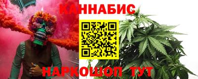 гидра Будённовск